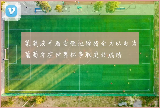 莱奥谈平局合理性称将全力以赴为葡萄牙在世界杯争取更好成绩