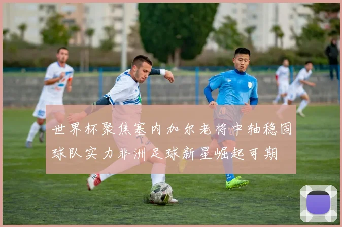 世界杯聚焦塞内加尔老将中轴稳固球队实力非洲足球新星崛起可期