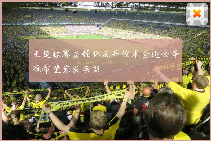 王楚钦赛后强化反手技术全运会争冠希望愈发明朗