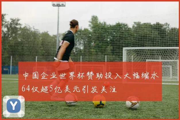 中国企业世界杯赞助投入大幅缩水64仅超5亿美元引发关注